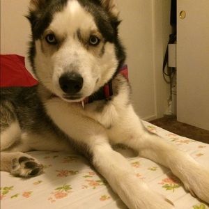 Meet your Posher, Viviana